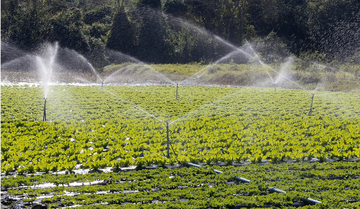 Irrigation
